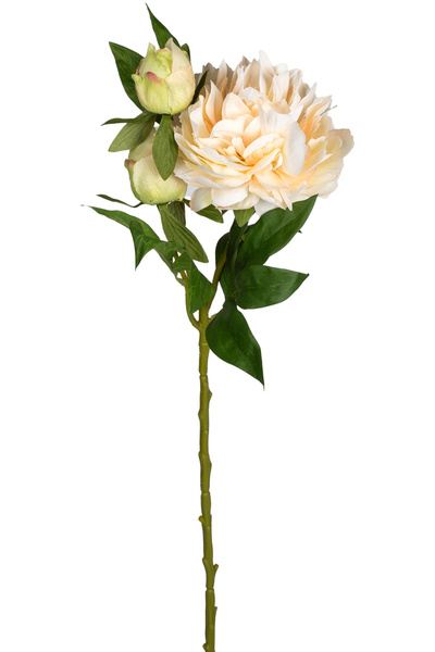 Herdekora Yapay Çiçek Şakayık Krem 65 Cm.