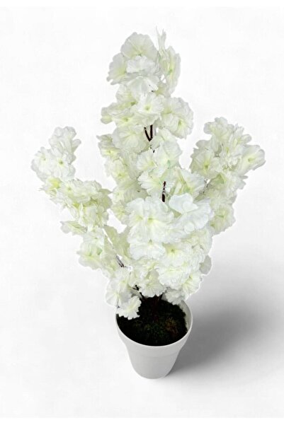Nettenevime Yapay Ağaç Bahardalı Ağacı Beyaz Japon Kiraz Çiçeği Sakura Çiçeği 70cm Beyaz Plastik Saksılı