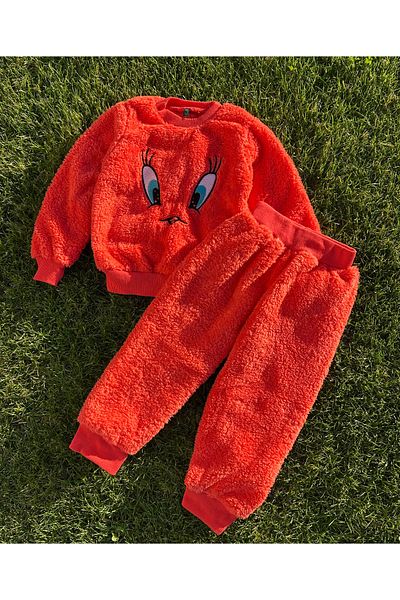 SANTRALBEBE Twetty Embroidered Plush Welsoft Set