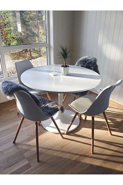 Home Tulip Yemek Masası