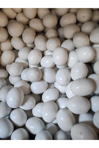 Cosar Güvercin Yumurta 12 Adet Bıldırcın Yumurta İçi Dolu