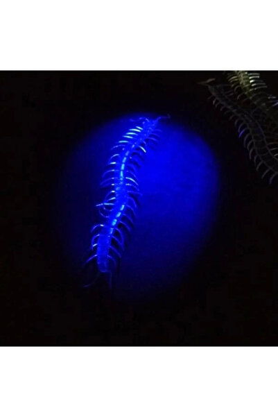 ArkhenX Transparent Color Glowing in the Dark Highlighter Centipede 13 Cm 1 P...