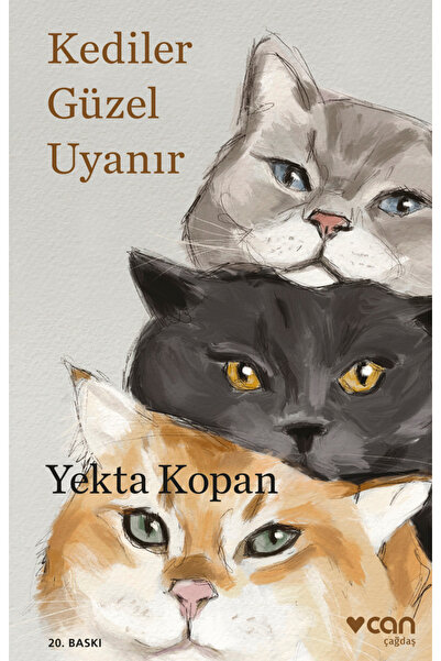 Can Yayınları Kediler Güzel Uyanır