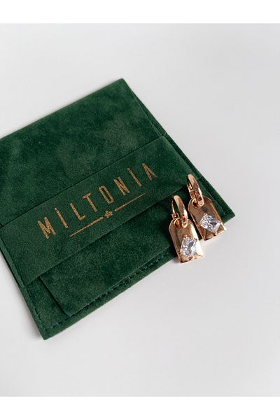 Miltonia Zircon Stone Plate Steel Earrings