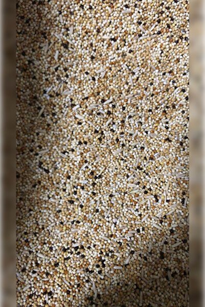 Has Karışık Vitaminli 5 Kilo Açık Kuş Yemi