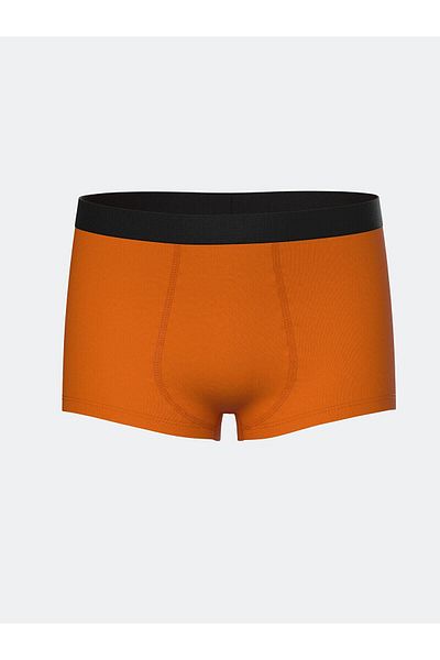 LC Waikiki Lcw Kids Printed Boys' Boxers 3-Piece