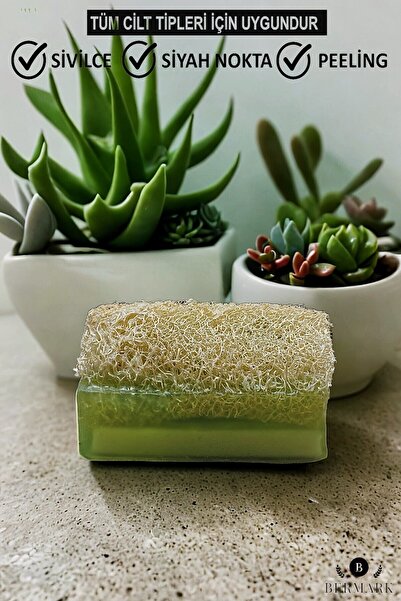 bermark قطعة واحدة من ألياف اليقطين الطبيعية المصنوعة يدويًا مع الجلسرين والأرز وقطعة واحدة من صابون الصبار