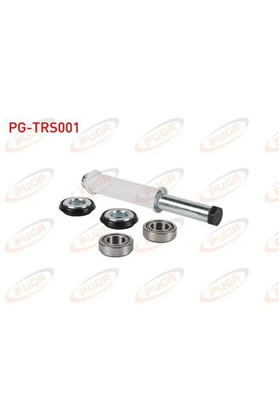 İthal Bearing Torsion Repair Kit - Temporal