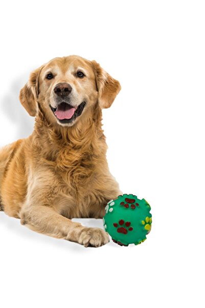 Griffonpet Küçük ve Orta Irklar İçin Sesli Oyun Topu – 7.5 cm (Turkuaz)