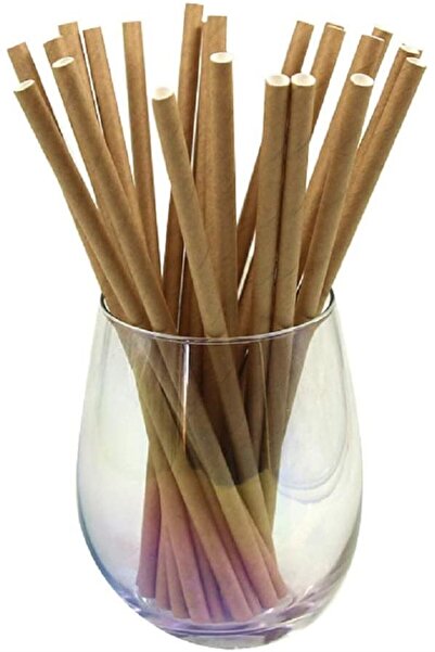 Evinizin Yardımcısı Karton Pipet Naturel Renk 25 Adet