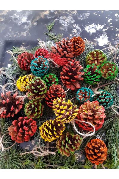 Semgiller Yılbaşı Süsü Çam Ağacı Süsü Renkli Asacak İpli Kozalak 12 Adet