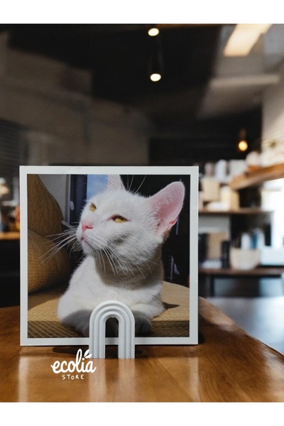 Main Collectibles Minimalist Photo Stand - Set of 3