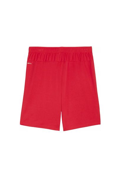 Puma Men's Sports Shorts - Daily Use, Teamgoal Shorts, Red 70575201