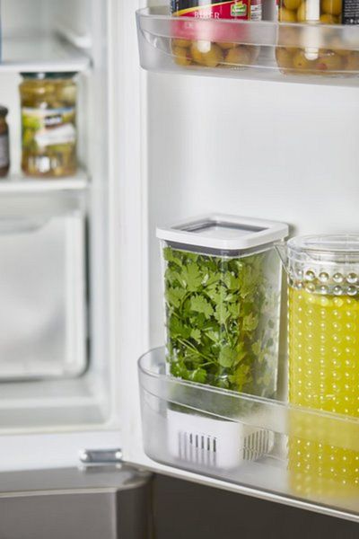Comprox 1700 ml Greenery Storage Container - Set of 3 Long Lasting Freshness