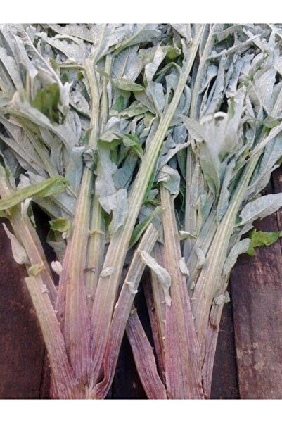 Hamile Marketim Enginar Sap Taze Günlük Kesim 1 KG