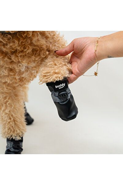 Buddy Store Köpek Ayakkabısı Yumuşak Kaydırmaz Su Geçirmez Taban Fermuarlı & Ayarlanabilir Eğitim Ayakkabısı