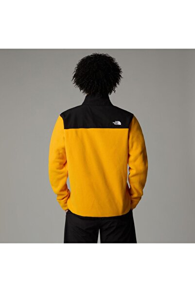 THE NORTH FACE M Alpine Polartec 200 Fz Jacket Erkek Polar Ceket