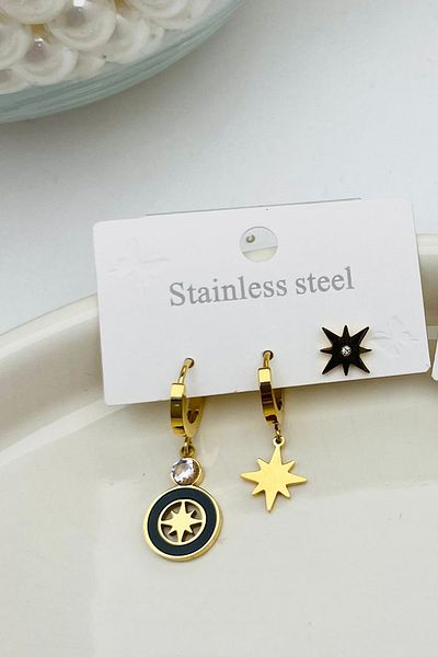 Fubena Image Steel Earrings