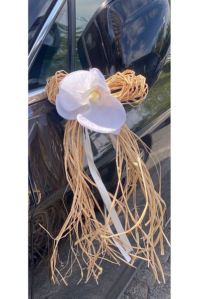 ABROZ HOME DESIGN Orchid Vehicle Convoy Ornament