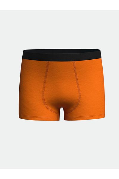 LC Waikiki 3-Piece Printed Boxer Set for Boy