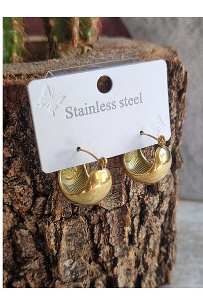 Brassito Women's Steel Earrings Half Moon Gold Color 316 L Sterling Earrings