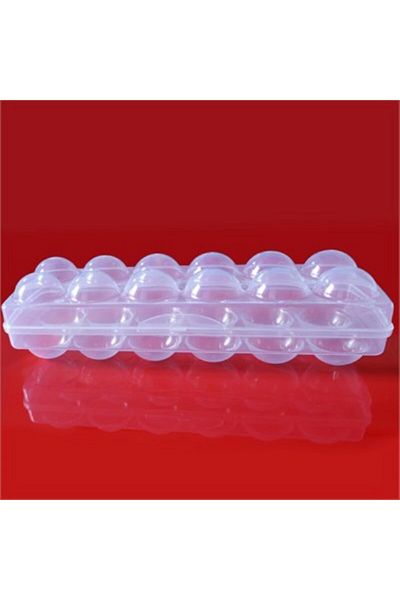 nuit dose Egg Storage Container - Transparent