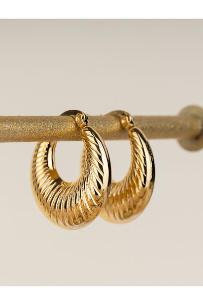 Monilia Women's Vintage Shell Steel Earrings
