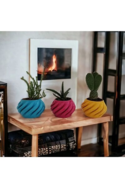 TAŞDEVRİLIFE Saksı 3'lü Kokulu Taş Sukulet Ve Kaktüs Beton Saksı