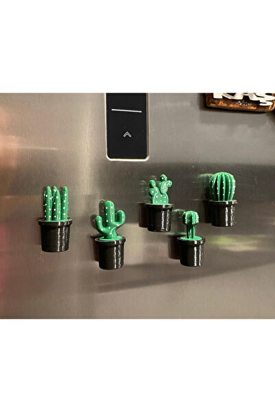 Home Kaktüs Buzdolabı Magnet Seti 5cm