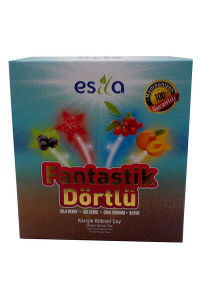 Ethab Ticaret Fantastic Four Flood Summer Tea 45 Filtrated Sachets