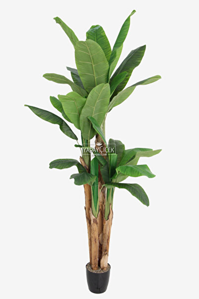 Yapay Çiçek Deposu Yapay Lüx Muz Ağacı 4 Gövdeli Saksılı 240 cm