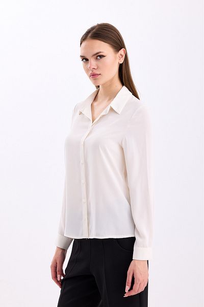 PASTELASTORE 2010 Cămașă de bază cu nasturi model