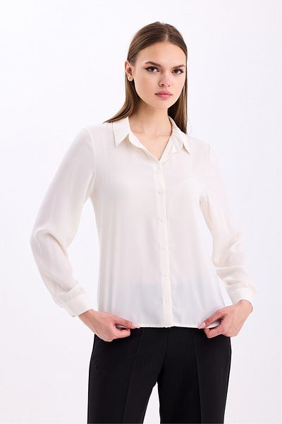 PASTELASTORE 2010 Cămașă de bază cu nasturi model