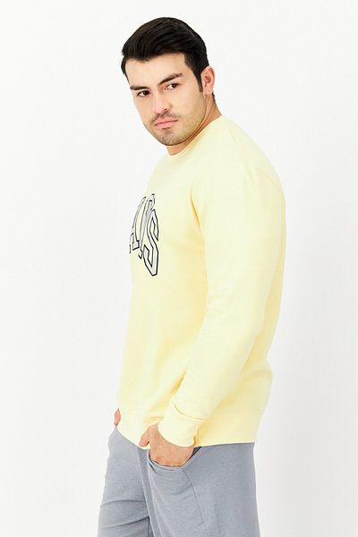 Cactus Man by Ricky Singh Men Crew Neck Long Sleeve Graphic Sweatshirt, Light Yellow