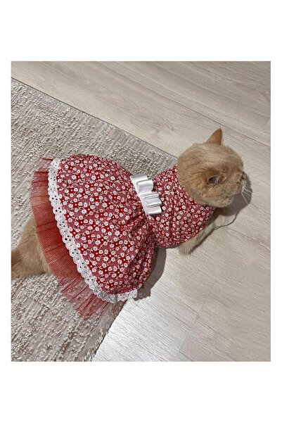 Gobo فستان كلب قطة حمراء مزين بالزهور البيضاء مع فيونكة