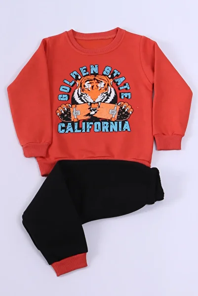 HÇM Boy's 3 Thread Tracksuit Set - Character Printed E7