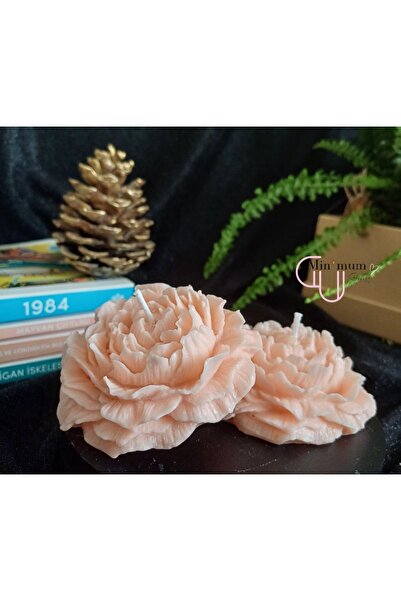 Minimum Stories 2'li Şakayık Pudra Renk Gül Kokulu Dekoratif Mum