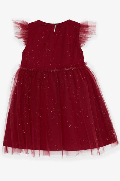 Breeze Κοριτσίστικο φόρεμα Breeze Glittery Tulle Frilly Plum (3-7 ετών)