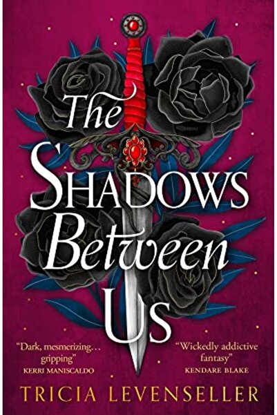 Pushkin Childrens Books The Shadows Between Us