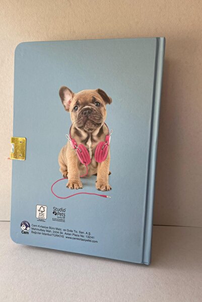 ÇilekKurdu Kilitli Hatıra Günlük Defter Studıo Pets Kilitli Sert Kapak 120 Yaprak