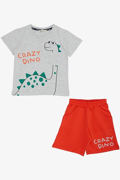 Breeze Boys' Shorts Set Crazy Dinosaur Printed 1.5-5 Years Old, Light Gray Melange