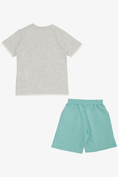Breeze 2-6 Years Old Boy Shorts Set - Cute, Free Skater Puppy Printed, Light Gray Melange