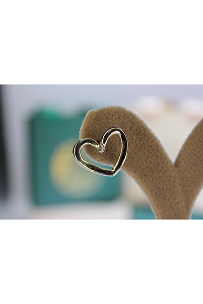 Mach Women's Steel Heart Earrings