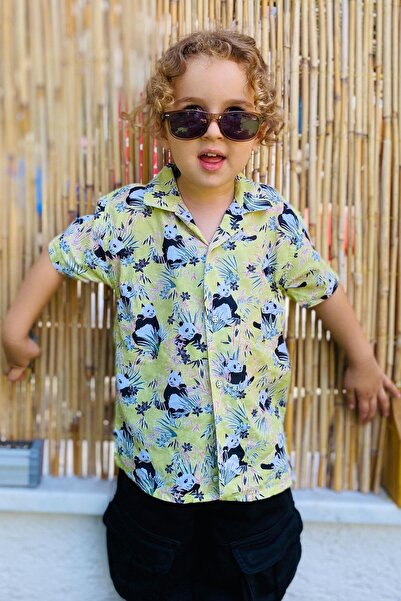 Jack Lions Cămașă pentru băieți cu model panda distractiv, pentru vârstele 1,...