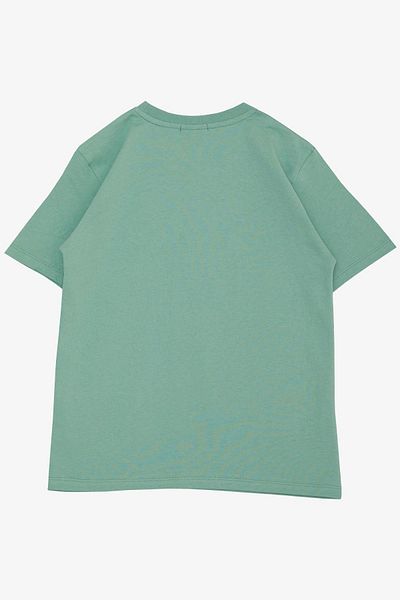 Breeze Tricou pentru baieti Never Give Up Design imprimat Varsta 9-16, verde menta