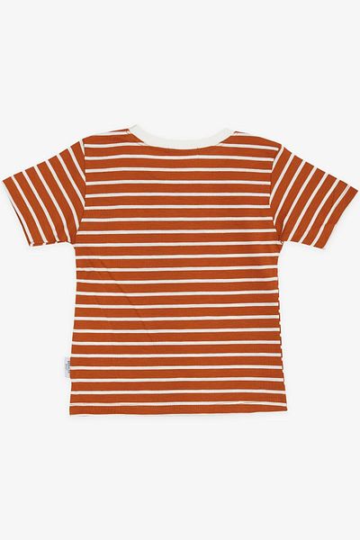 Breeze Boy's T-Shirt Striped 3-7 Years, Cinnamon