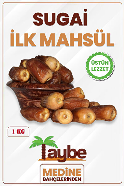 Medine Hurma Sugai Hurma İlk Mahsul (1 KG)