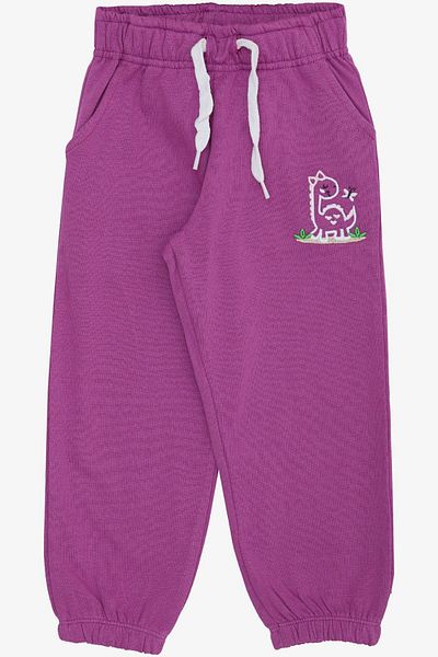 Breeze Cute Dinosaur and Butterfly Embroidered Lilac Bottom Shoes for 1-4 Years Old Girls
