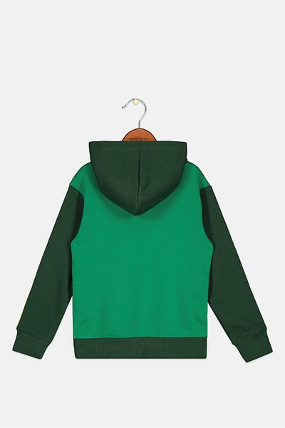 DIFUZED Kids Boy Graphic Print Long Sleeve Hoodie, Green