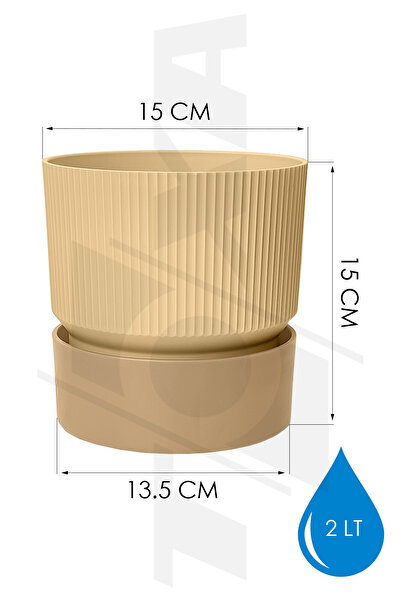 ToXA 2 Litre Krem Iksora Saksı Dekoratif Tabaklı Çiçek Kaktüs Saksısı Mat Plastik Saksı